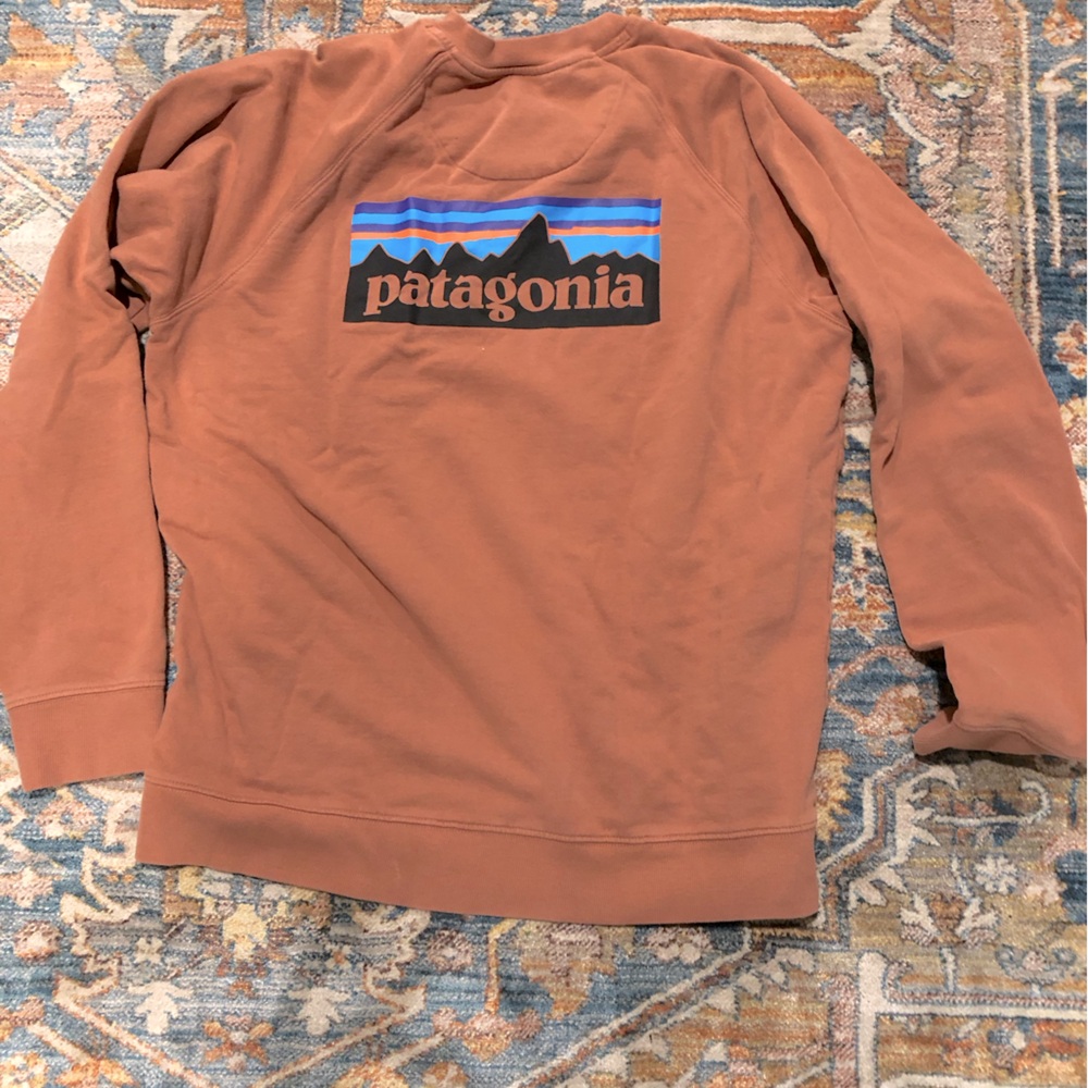 Burnt Orange Patagonia Crew Neck Sweatshirt size Large